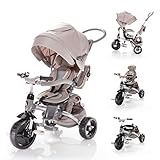 Zopa Tricycle Citigo (Almond Beige)