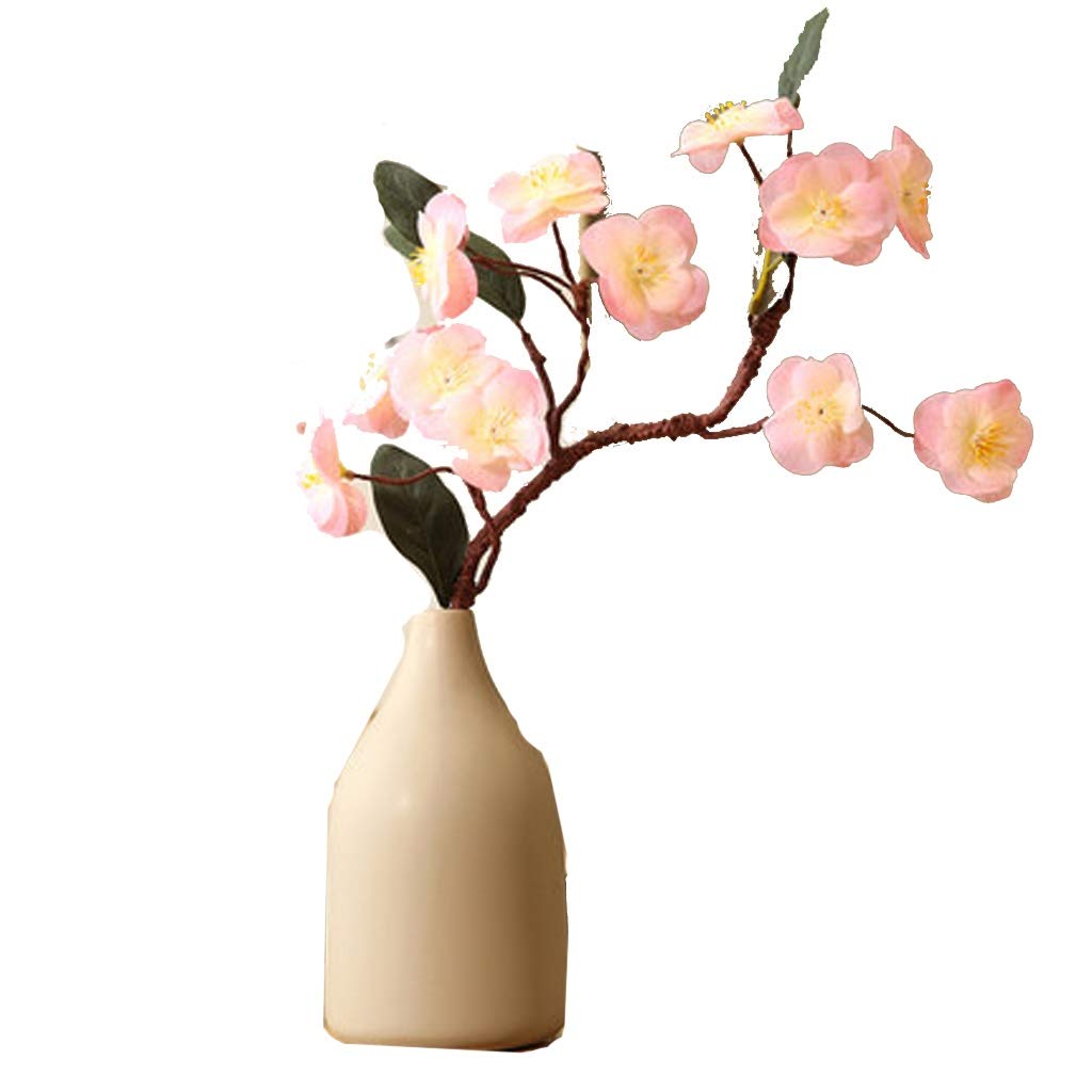 Fleur branche salon sans entretien vase céramique zen contre allergies