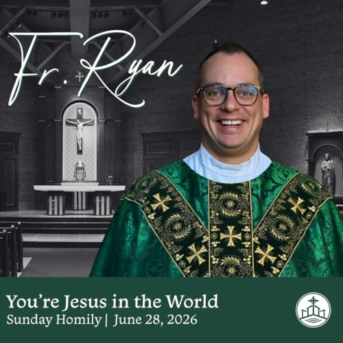 677. Fr. Ryan Homily - You're Jesus in the World