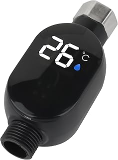 Digital shower thermometer