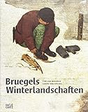 Bruegels Winterlandschaften - Tine Luk Meganck