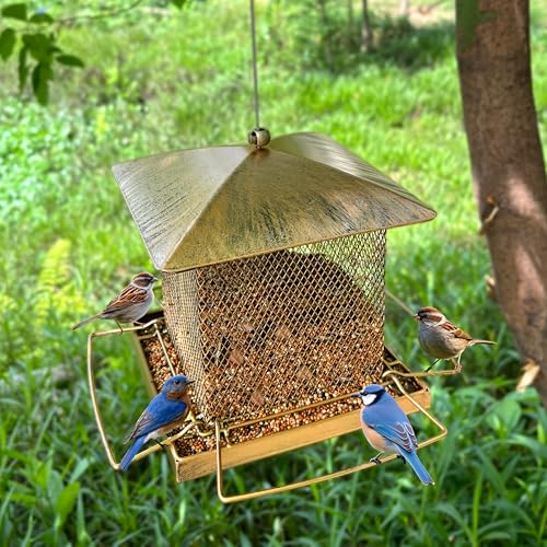 pets squirrel proof bird feeder