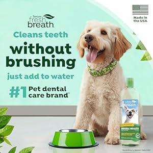 TropiClean Fresh Breath Water Additive for Dogs | Dog Breath Freshener & Teeth Cleaning Solution | No Toothpaste or Toothbrush Required | 33.8 oz TropiClean Fresh Breath Water Additive for Dogs Dog Breath Freshener Teeth Cleaning Solution No Toothpaste or Toothbrush Required 338 oz
