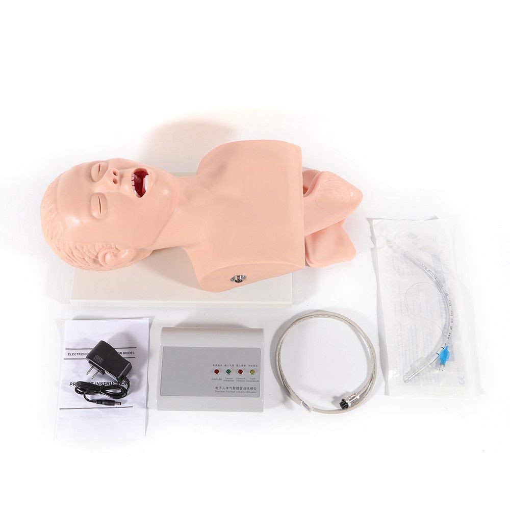 TFCFL Intubation Manikin Study Teaching Model Airway Management Trainer PVC 220V : Industrial & Scientific