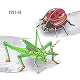 DIY 3D Puzzle Paper Model Art Project Assemble and Paint for kids Fun&Educational Toy Craft, Grasshopper and ladybug