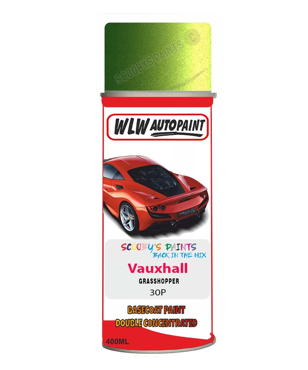 SCOOBYS PAINTS BACK IN THE MIX Basecoat Aerosol Spray Paint For Vauxhall Corsa Grasshopper 2010-2017 Code 30P