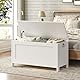 HOOBRO Truhen, Sitzbank mit Stauraum, Spielzeugtruhe mit Deckel, Schuhbank, Sitztruhe, Aufbewahrungstruhe, Robust, Sicherheitsscharniere, Schlafzimmer, Wohnzimmer, 76 cm, Weiß EWT75CW01G1
