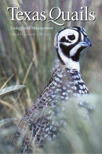 Texas Quails: Ecology and Management (Perspectives on South Texas, sponsored by Texas A&M University-Kingsville)