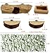 6Pcs Jumping Spider Accessories Set,Tree Jumping Spider Climbing Toy with Cave, Jumping Spider Feeder,2 Wooden Platforms and 2 Green Moss Ribbons,Small Reptile Enclosure Decoration Accessories