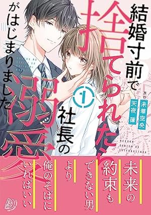 冷徹御曹司と政略結婚したら、溺愛で溶かされて身ごもり妻になりました1 冷徹御曹司と政略結婚したら、溺愛で溶かされて身ごもり妻になり