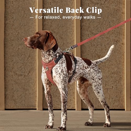 Image of Didog No Pull Dog Harness for Medium Dogs, Classic PU Leather, Brown, L