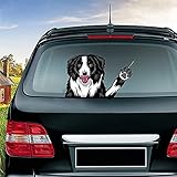 Dreothy Border Collie Rear Wiper Decals Pet Dog Arm Waving Wiper Sticker Waterproof Vinyl Car Stickers and Decals Rear Windshield Stickers Rear Wiper Blade Vehicle Tags (Border Collie)