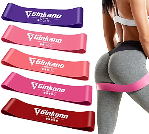 Haquno Cinta de Resistencia [Juego de 5] para Fitness con Instrucciones de Ejercicios en alemán y Bolsa de Transporte Resistance Bands de látex Natural para musculación de Pilates,...