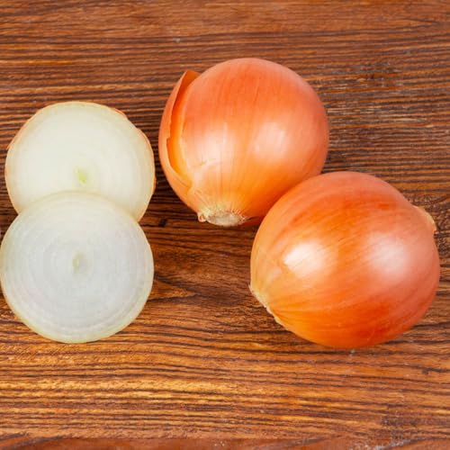 Semillas de cebolla para, tradicionales bulbos cebolla invierno especias orgánicas, balcón jardín cobertura 250pcs