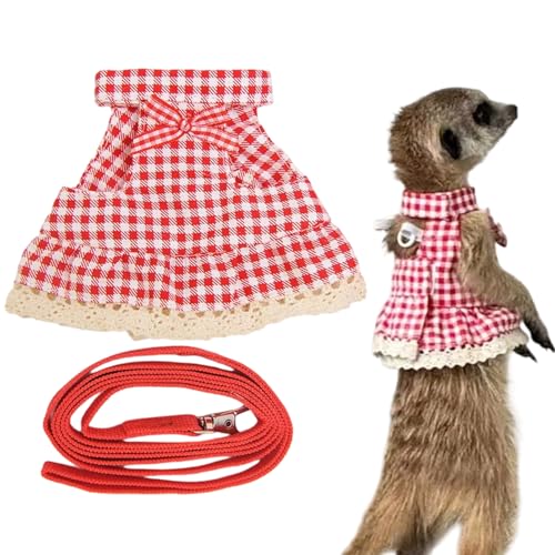 n[lX - Xgbv - [ht  tFbg X nX^[p