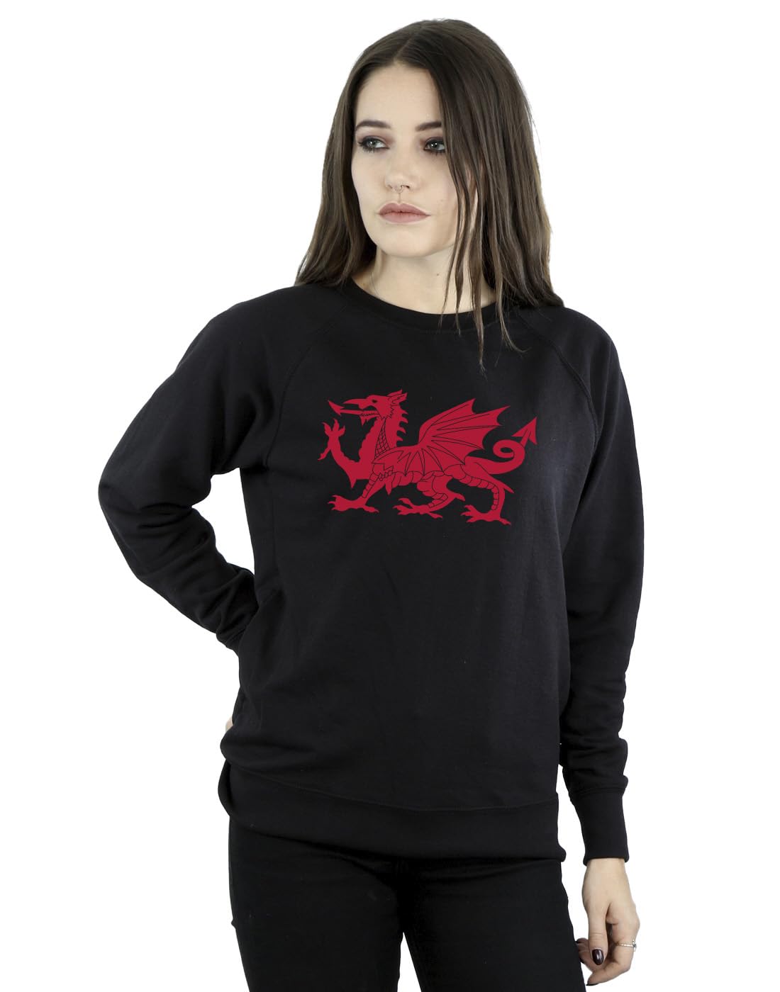 Absolute Cult St David's Day Women's Welsh Dragon Sweatshirt Black Medium