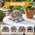 Snclriao Solar Turtle Garden Outdoor Decor with Succulent & 7 LED Lights – Outside Tortoise Statue Decor for Yard Patio Balcony & Backyard - Home House Decoration Art - Gift for Men Dad Women Mom