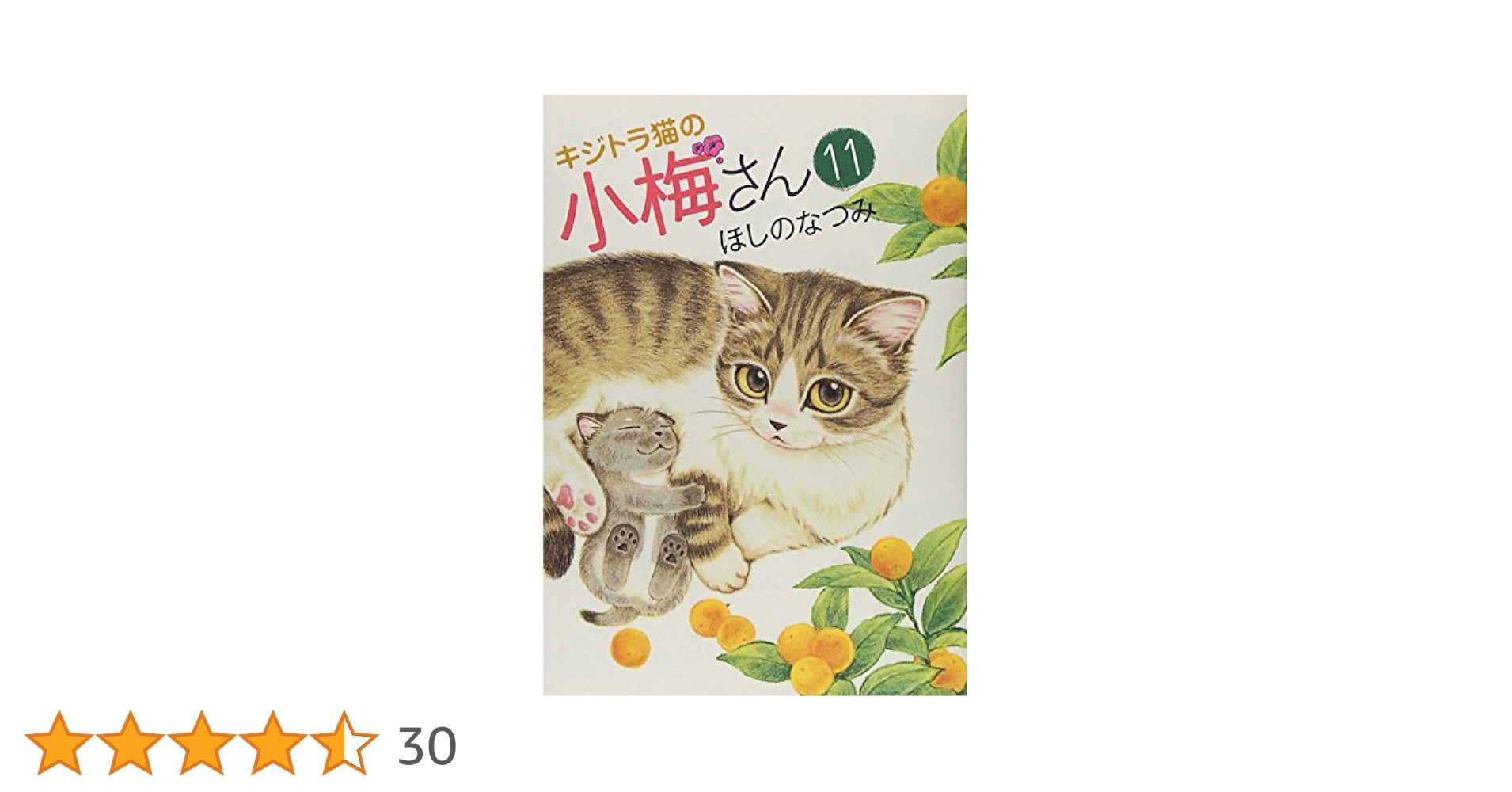 キジトラ猫の小梅さん 全巻セット 1-27巻+3冊 キジトラ猫の小梅さん 全巻セット 1-27巻+3冊 キジトラ猫の