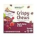 Sprout Organic Baby Food, Stage 4 Toddler Fruit Snacks, Red Fruit Beet & Berry Crispy Chews, 0.63 Oz Single Serve Packs (5 Count)