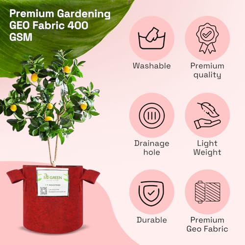 Image of Geo Fabric Grow Bags for Plants 8X8 Inch (Pack of 4) | 400 GSM Heavy Duty UV-Protected Round Maroon Colour Plant Bags for Terrace and Vegetable Gardening | Strong & Reusable|