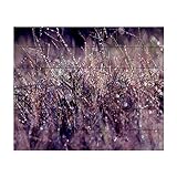 Trademark Fine Art 18x22 Purple Rain by Beata Czyzowska Young, Wood Slats, Multi-Color