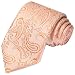 KissTies Orange Tie Paisley Necktie Wedding Ties + Gift Box