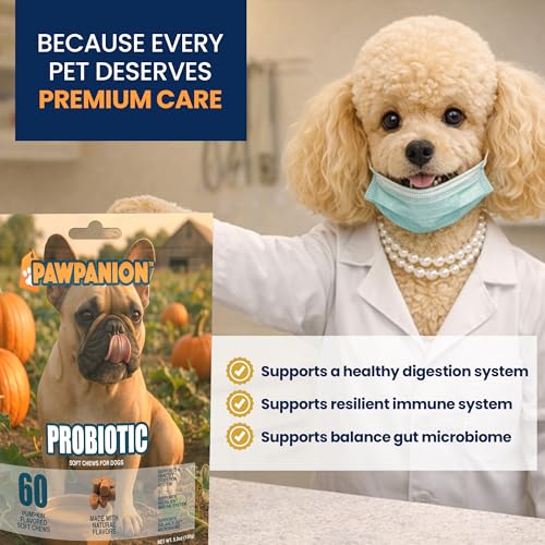 Image of Dog Probiotic Soft Chews, 6 Billion CFU, 60 Count | Probiotic strains and digestive enzymes support gut balance, digestion, nutrient absorption and normal stool quality.