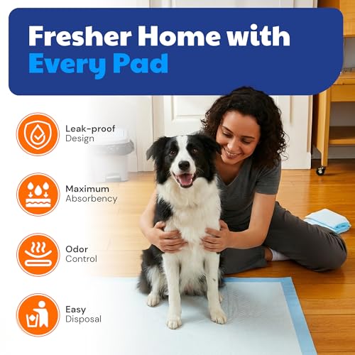 American Kennel Club Scented Puppy Training Pads with Ultra Absorbent Quick Dry Gel – 22 x 22 Pee Pads for Dogs - Fresh Scented - Pack of 100