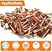 YuJingKey 1 Inch Copper Nails, 250Pcs, 99.9% Pure Copper Nail for Roofing Finish, Furniture, Boat, Stump Remover, Industry, DIY
