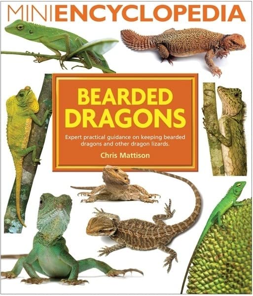 The Best Bearded Dragon Book For Kids Of 2022