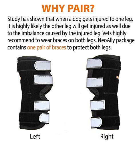 Image of NeoAlly Dog Canine Braces for Rear Legs Super Supportive with Dual Metal Spring Inserts to Stabilize Dog Hind Legs, Help Dogs with Injuries, Sprains, Arthritis, ACL (M Pair)
