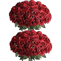 Gradient Burgundy Red