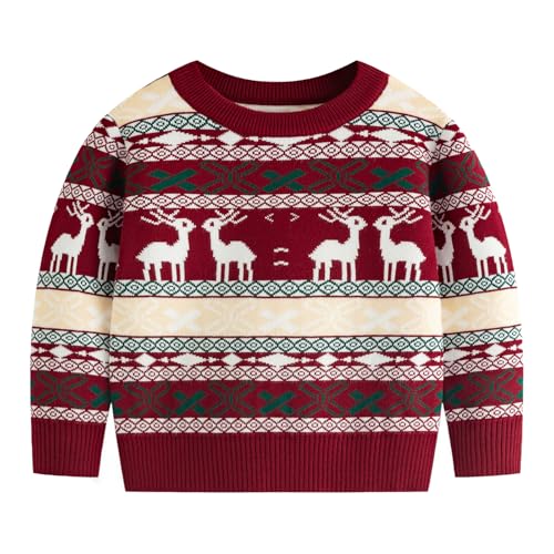 FROHETG Toddler Boys Girls Reindeer Cartoon Crew Neck Long Sleeve Tops Pullover Spring Kids Birthday Sweaters,Xmas Burgundy-110