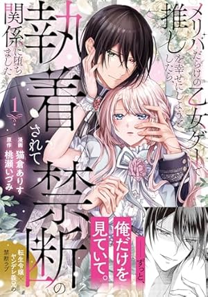 宮廷魔導士は鎖で繋がれ溺愛される (1) (ノーチェCOMICS) | 夢月