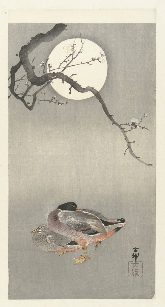 Poster Ohara Koson fleurs de cerisier sur toile d'art durable