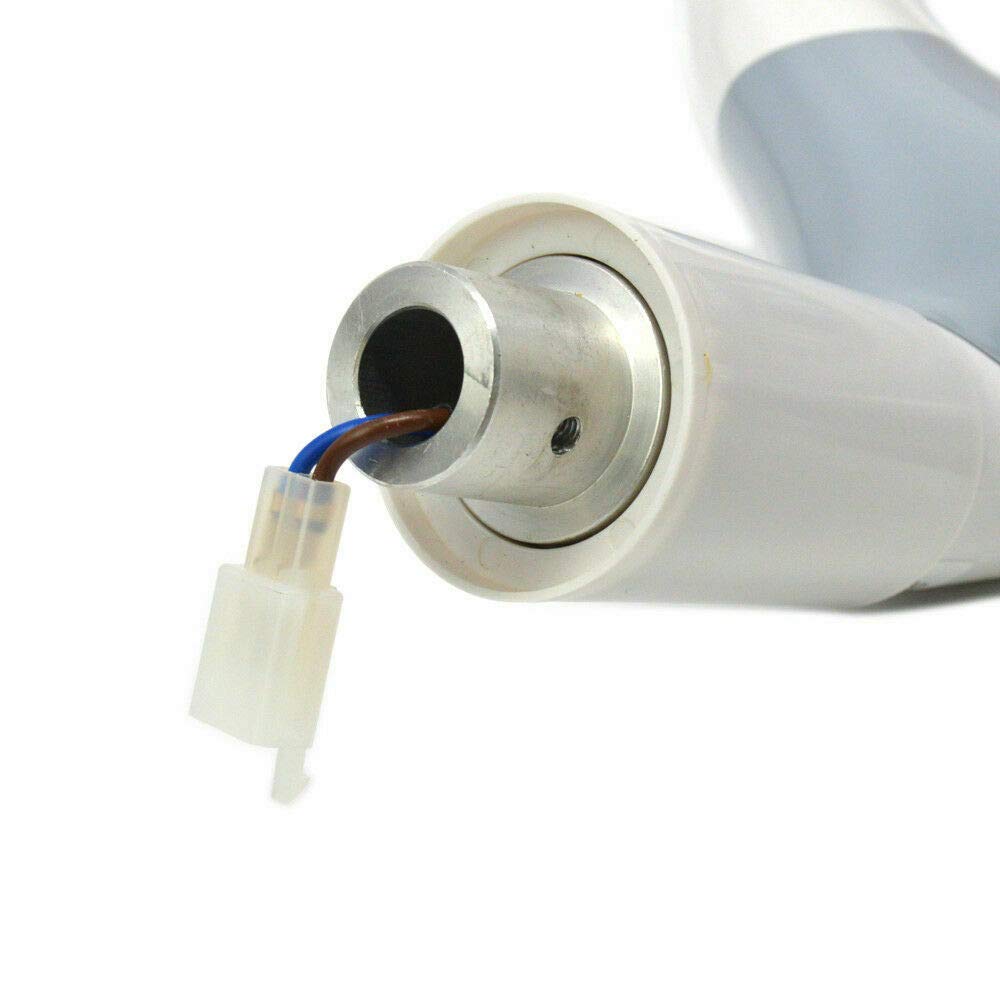 Panda Life Lámpara Dental Oral Light Sin Sombras 9 LED para sillón Dental 22mm