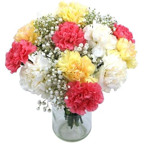 Cool Carnations Fresh Flower Bouquet by Clare Florist Cover
