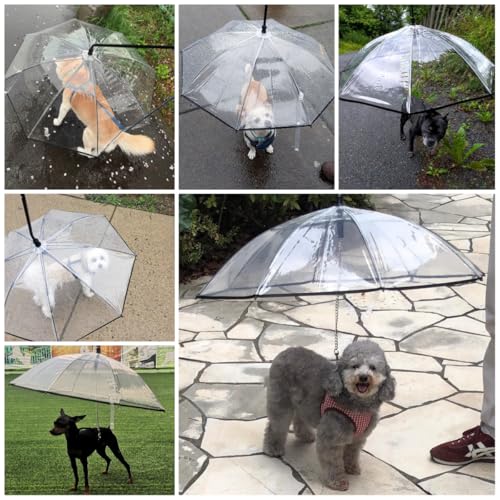 Namsan Hunde Regenschirm mit Leine Hunde Regenjacke für Spaziergänge im Freien bei Schnee oder Regen