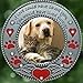 Pet Memorial Ornament - Dog or Cat - Enameled & Jeweled with Red Hearts, Angel Wings & Paw Prints - Bag Included - Choose The Customized Option and We Will Insert Your Photo - 3