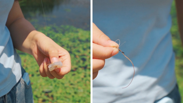 Clear Elastic Fishing Bait Thread - Stretchy Nylon Magic Line For Fishing & Crafts