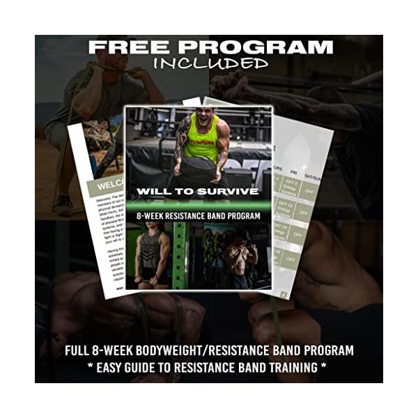 Iron Infidel Pull-Up-Hilfsbänder zum Trainieren – Widerstandsbänder-Set für Männer, Übung, Training, Fitness, Kraft… – Bild 5