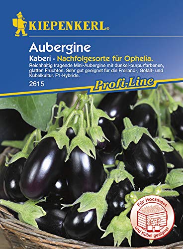 Preisvergleich Produktbild Aubergine Kaberi / Auberginensamen von Kiepenkerl
