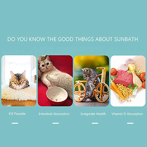 Baugger - Janela do gato Perch Hammock Cama de Resfriamento Respirável Deck Janela Ventosas Assento