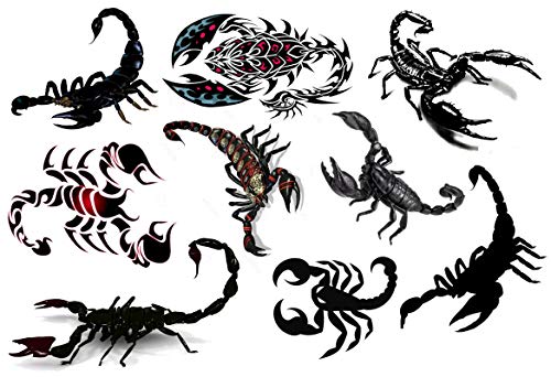 Scorpion Collection (Scorpion Collection Scorpion Temporary Tattoos)