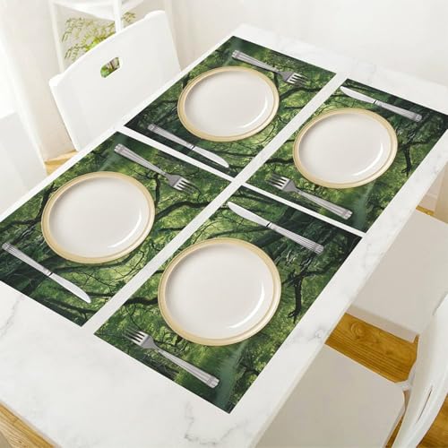 Set de table PVC tressé résistant lot de 4 An Ancient Swamp 45x30cm - 7