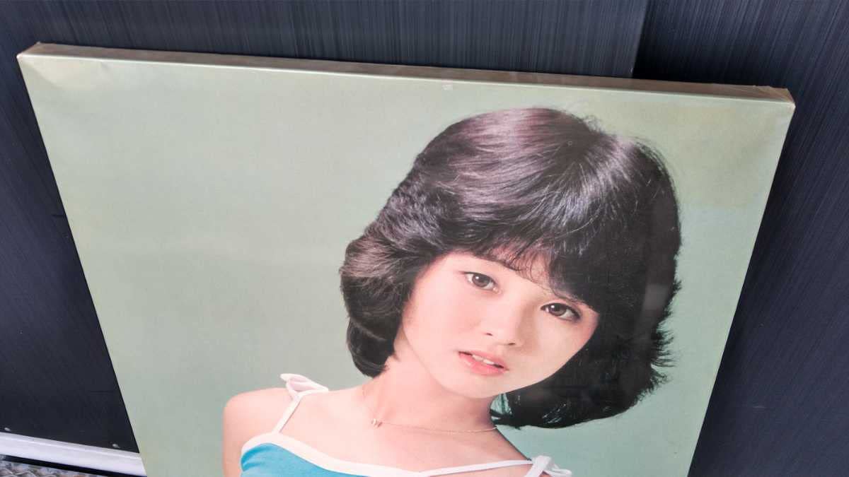 Amazon.co.jp: 松田聖子 パネル 木製 アイドル レトロ : おもちゃ