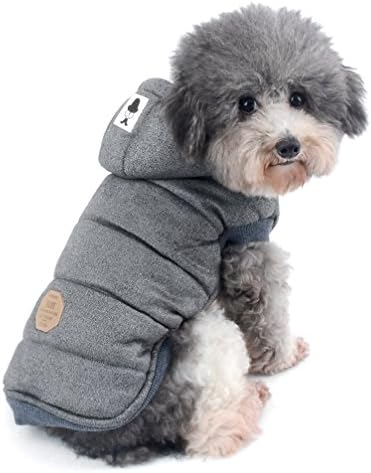 small dog parka