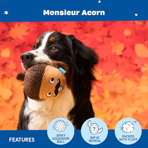 Image of BarkBox Monsieur Acorn 2-in-1 Interactive Plush Dog Toy | Squeaky Dog Chew Toy with Spiky Ball Inside - For Large Dogs and Puppies