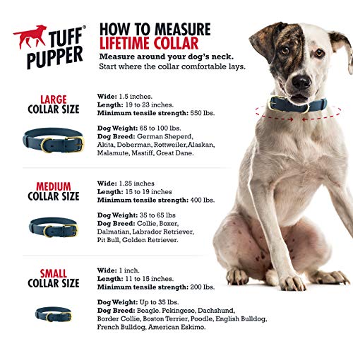 lifetime guarantee dog collar