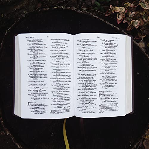Image of Niv, Larger Print Compact Bible, Leathersoft, Brown, Red Letter, Comfort Print